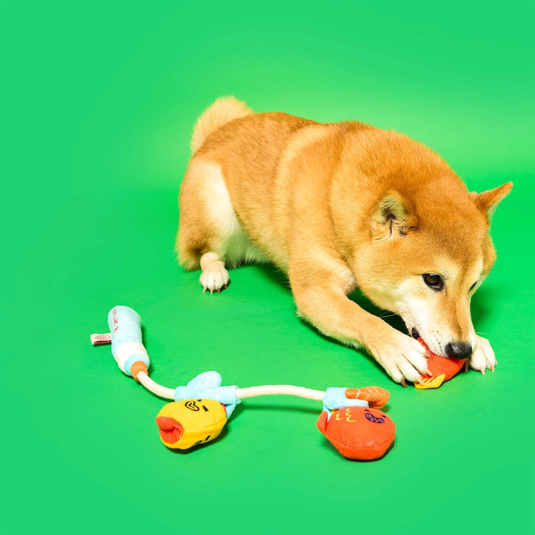 Fishing Nosework & Tug Toy