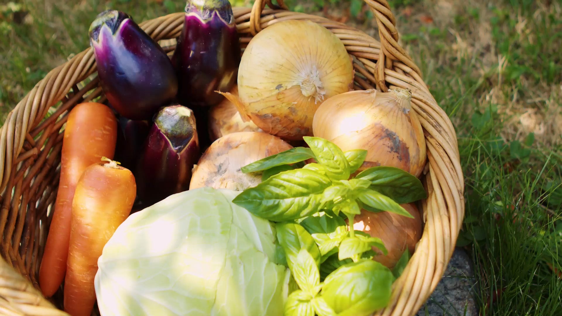 Shizuku Vegetable Dyed Gauze Towel