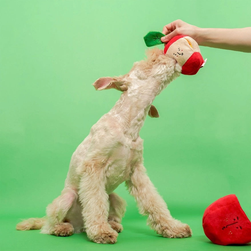 Apple Nosework Toy