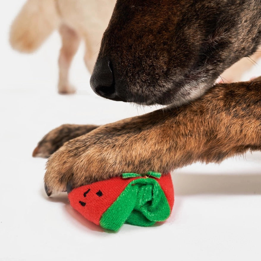 Cherry Tomato Nosework Tug Toy