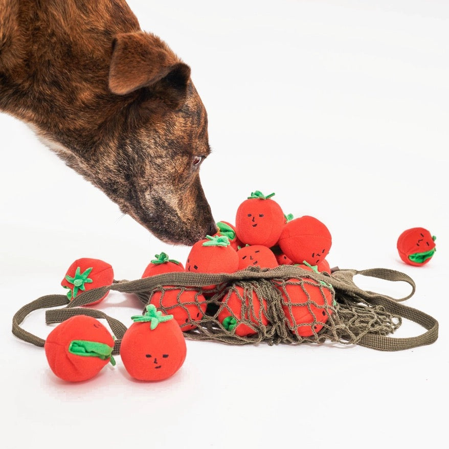 Cherry Tomato Nosework Tug Toy