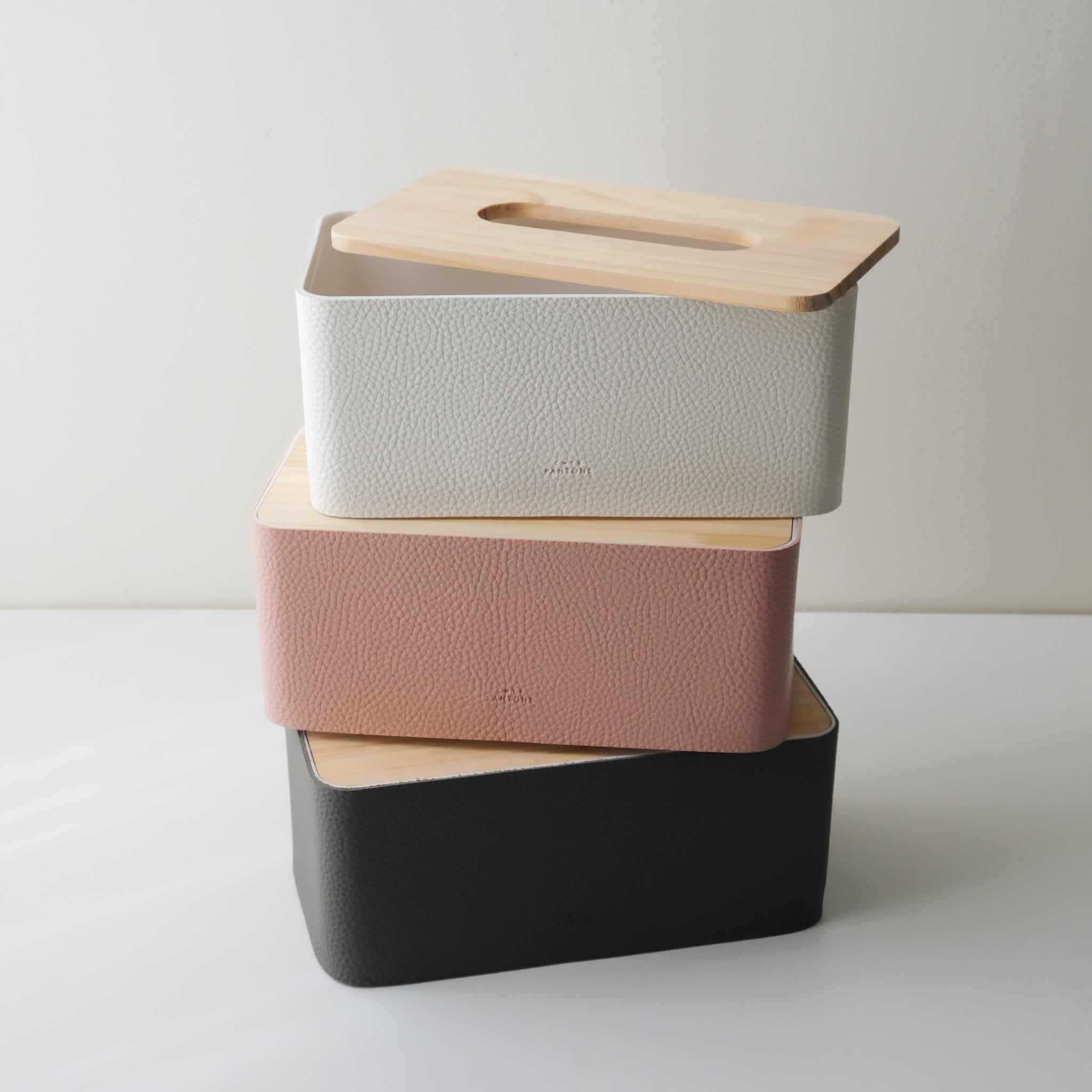 Pantone Tissue Case