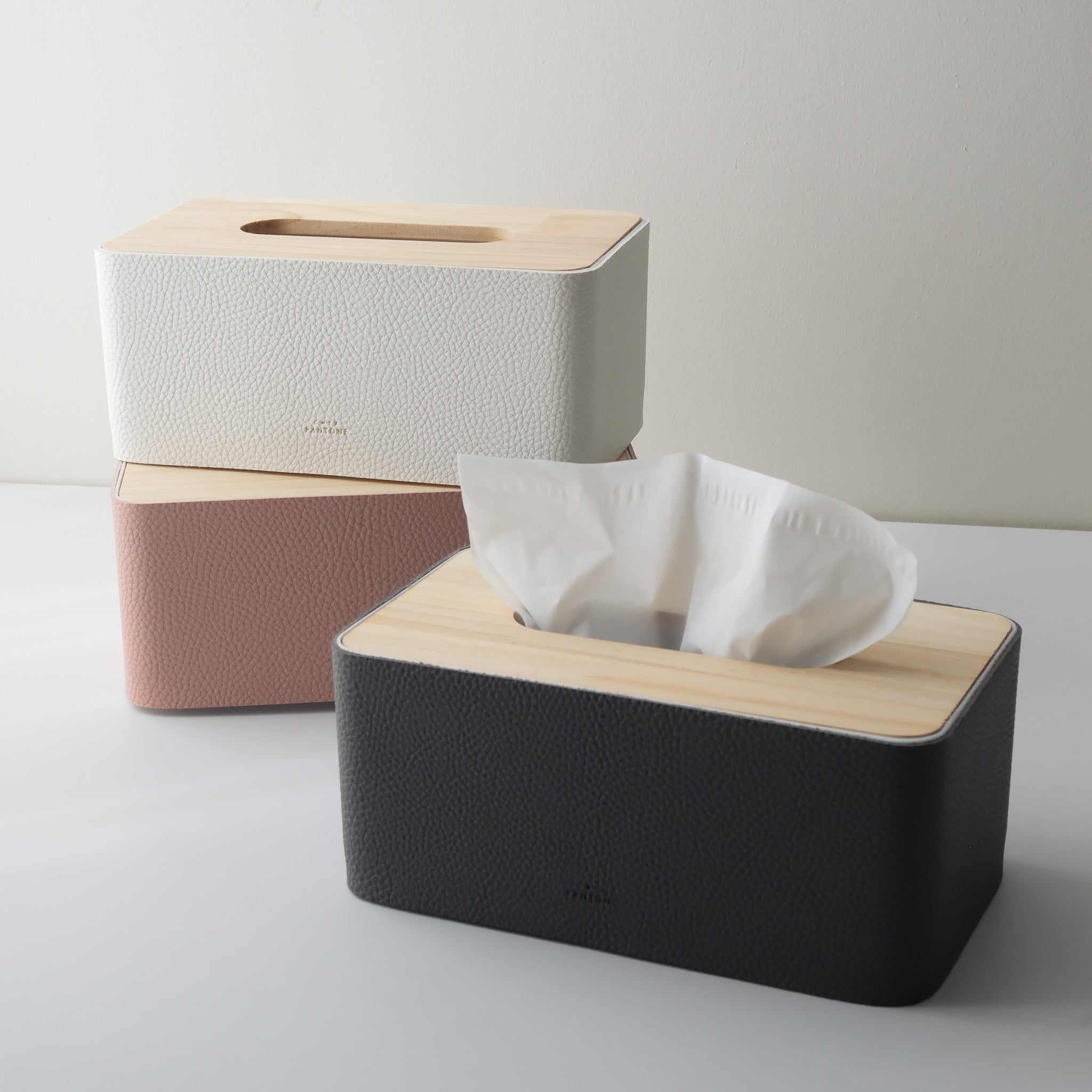 Pantone Tissue Case