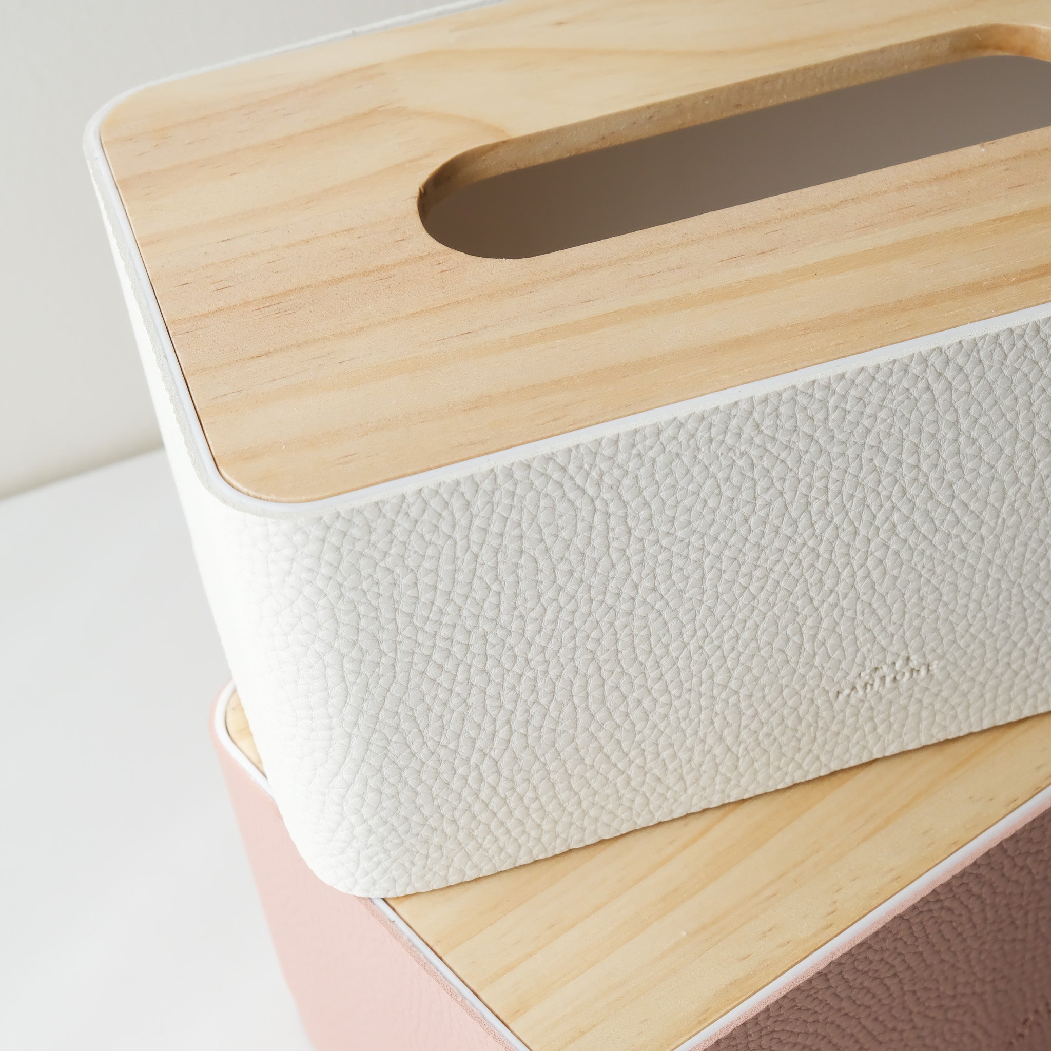 Pantone Tissue Case