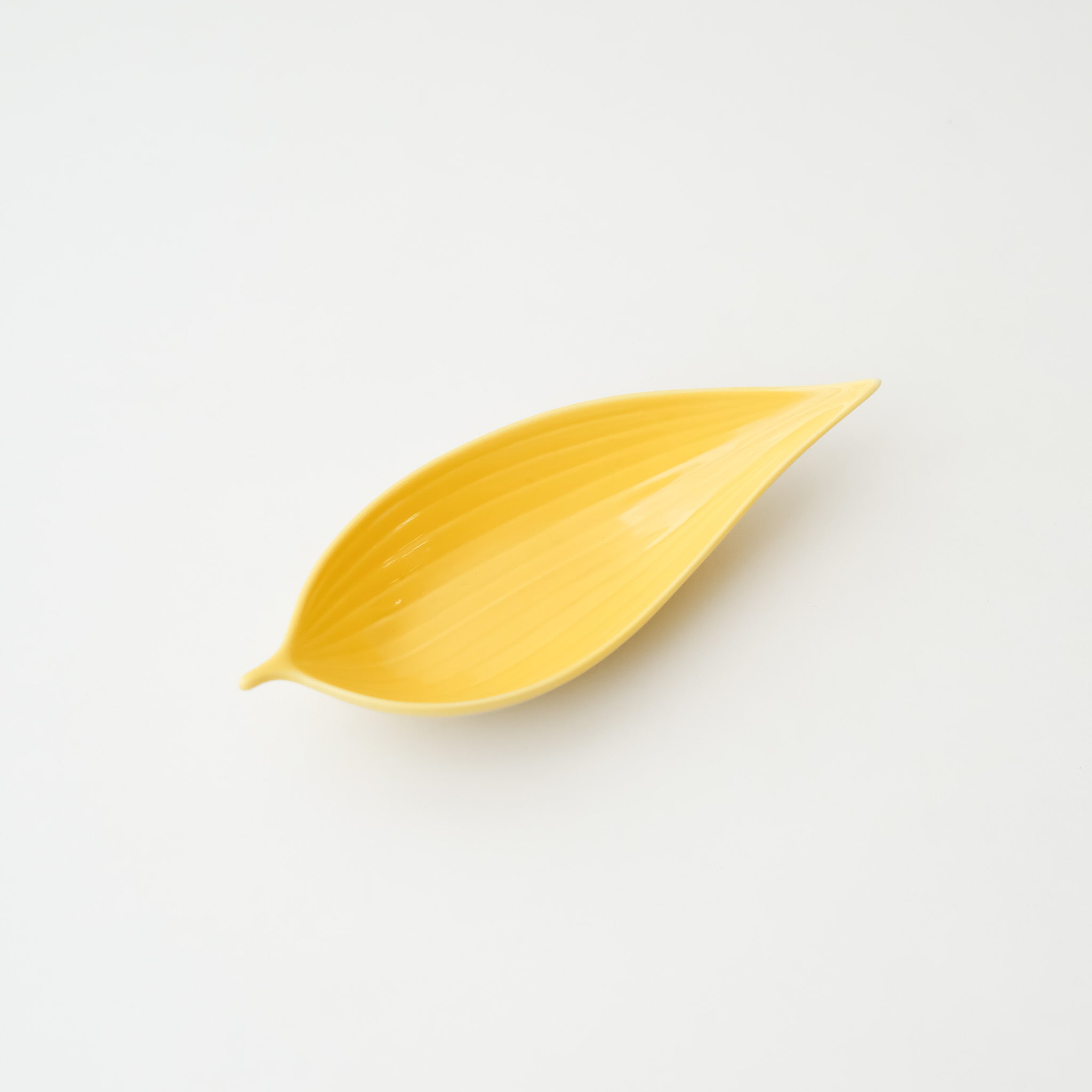 Sprout Mini Dish (New Colors)