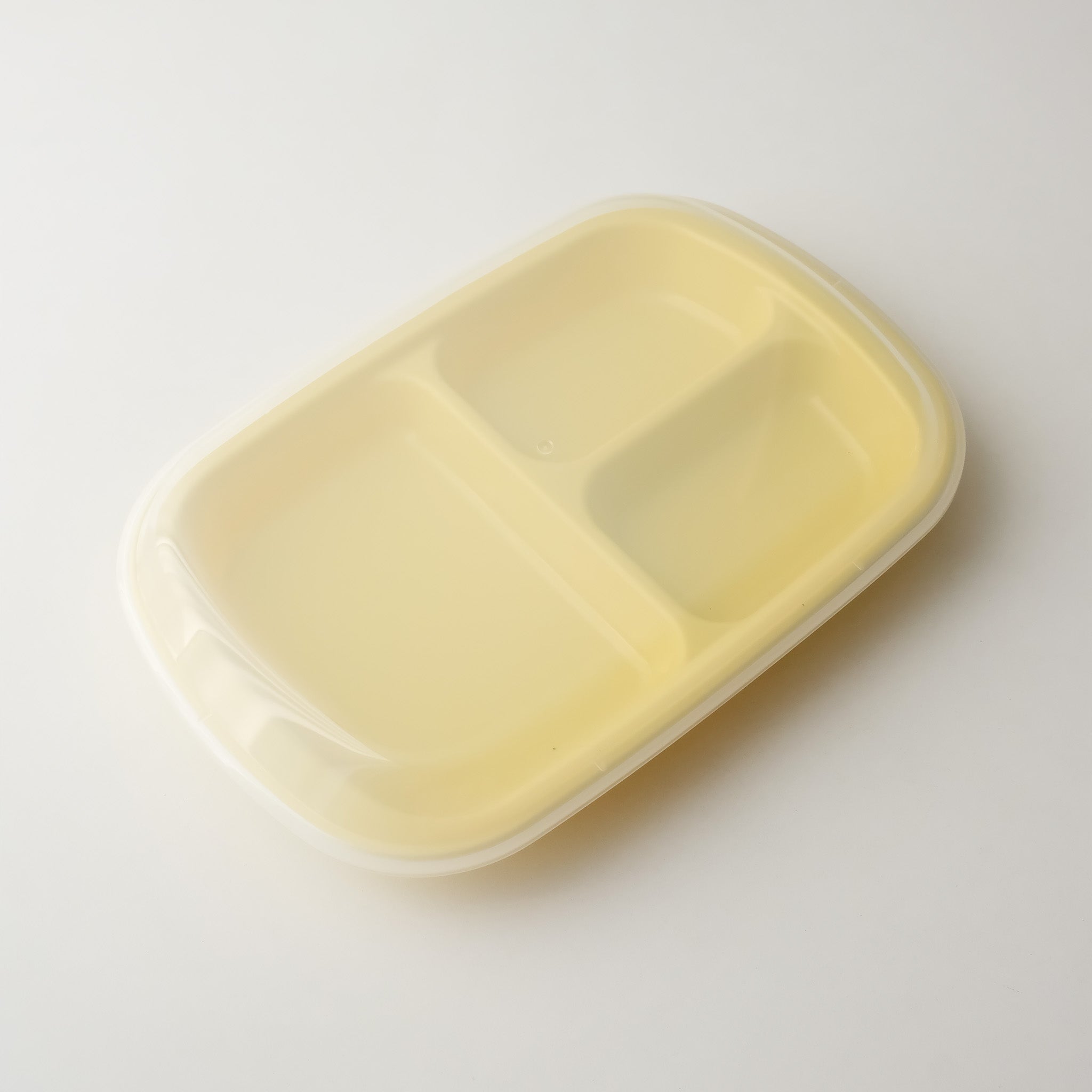 Pastel Divided Lunch Plate With Cover