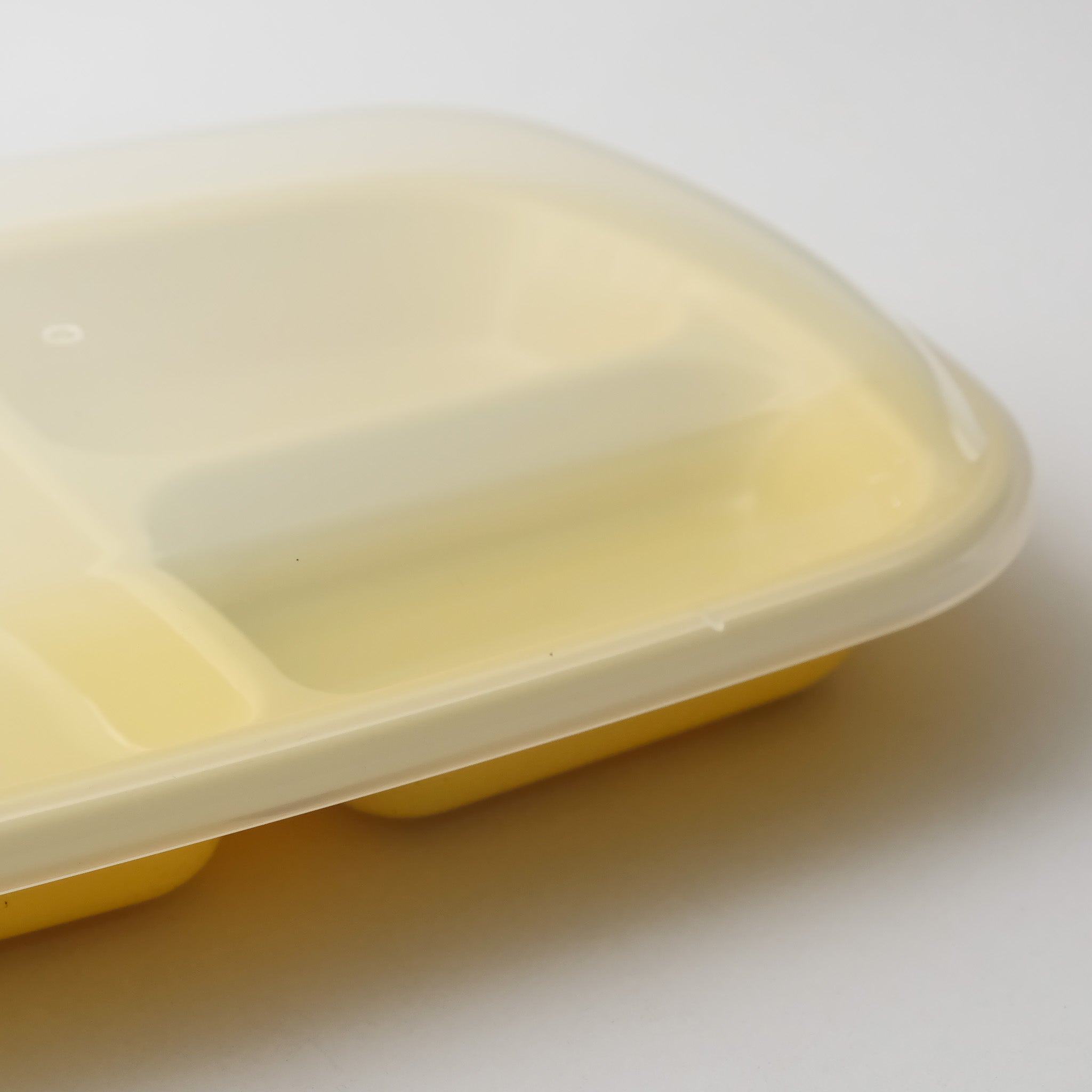 Pastel Divided Lunch Plate With Cover