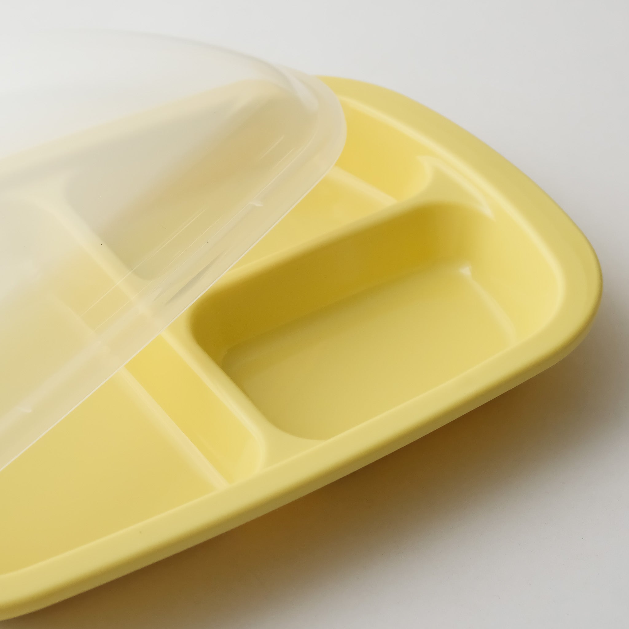 Pastel Divided Lunch Plate With Cover