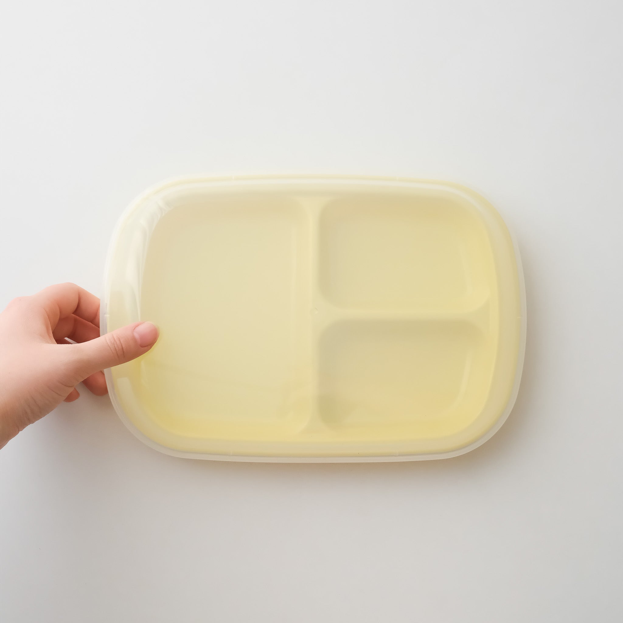 Pastel Divided Lunch Plate With Cover