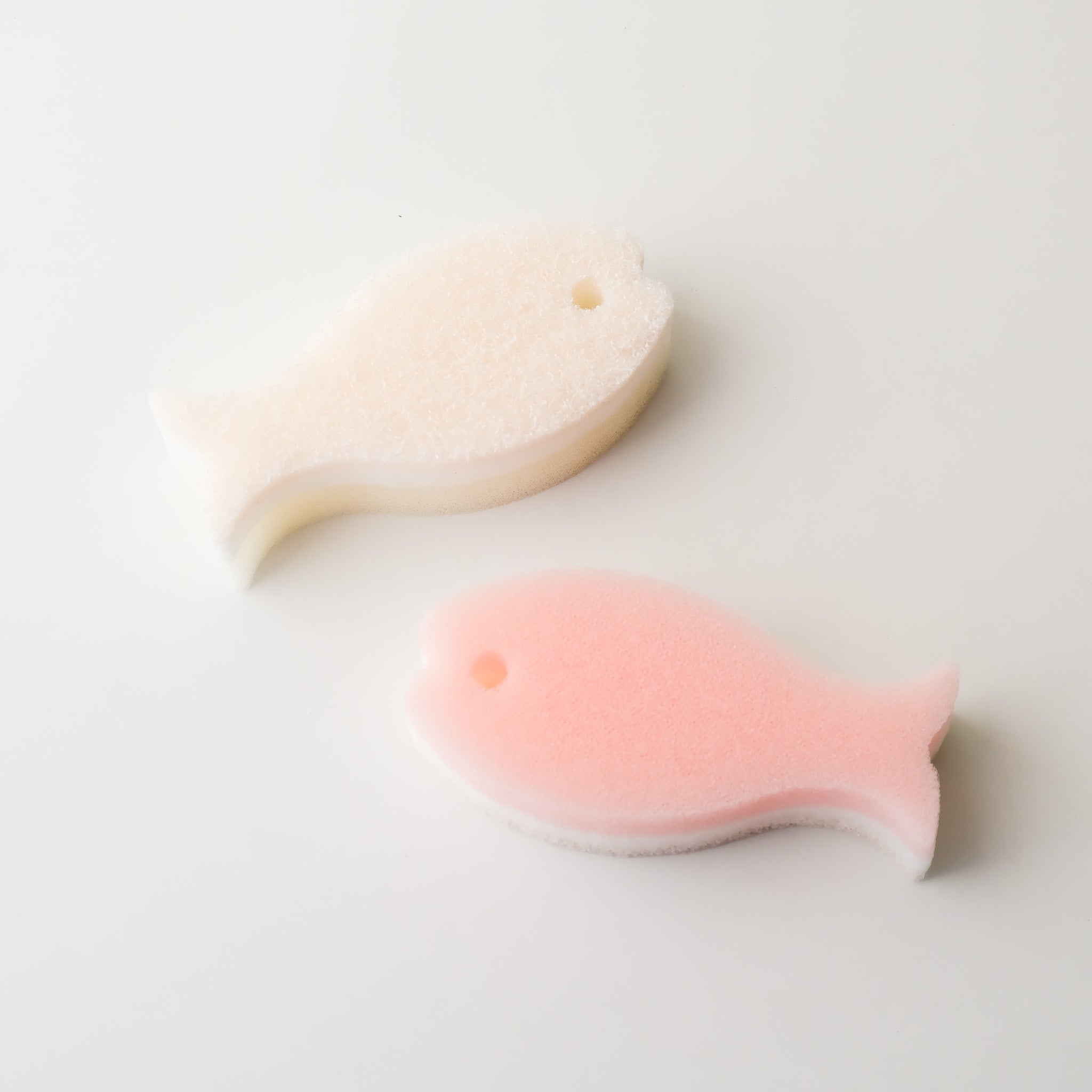 Fish Dish Sponge Set