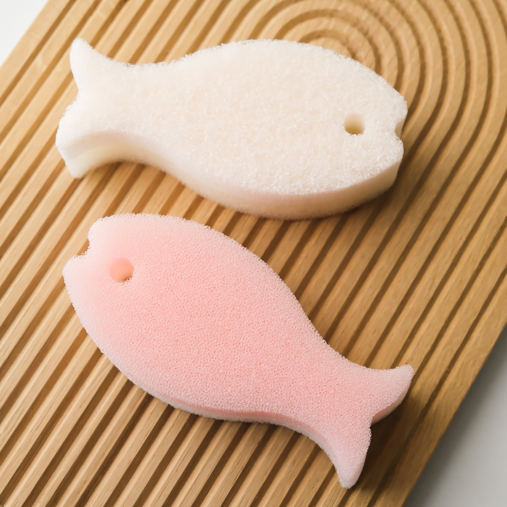 Fish Dish Sponge Set