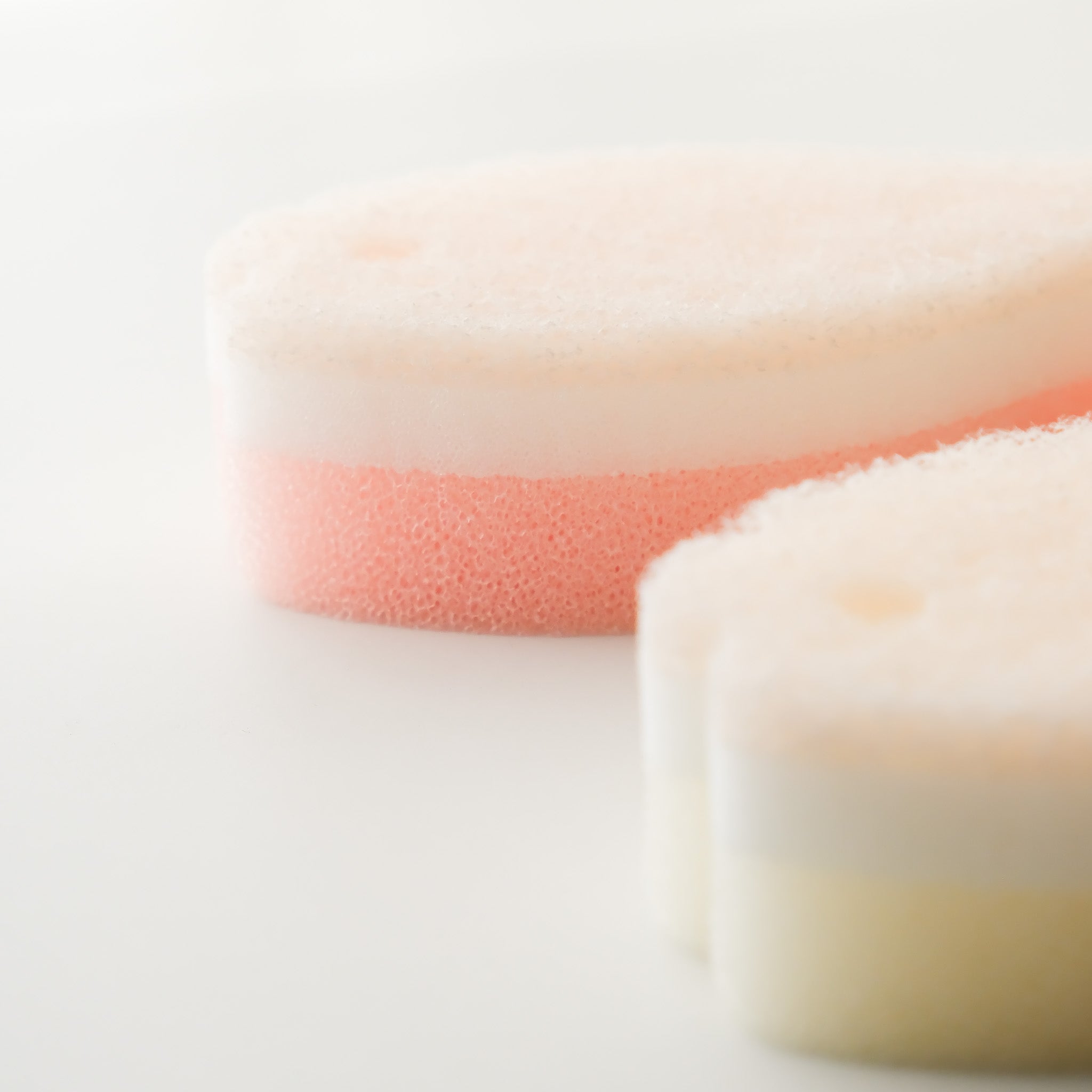 Fish Dish Sponge Set