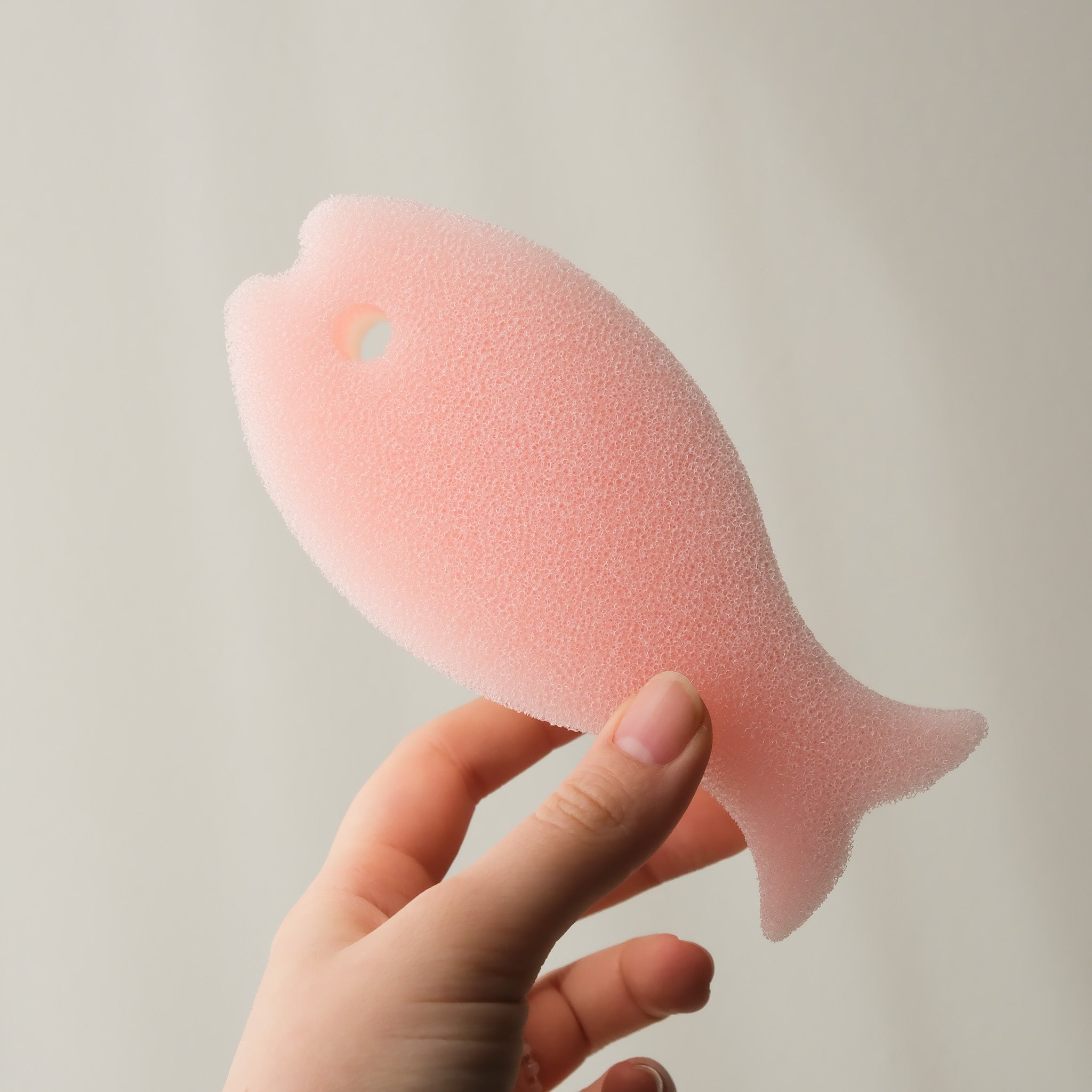 Fish Dish Sponge Set
