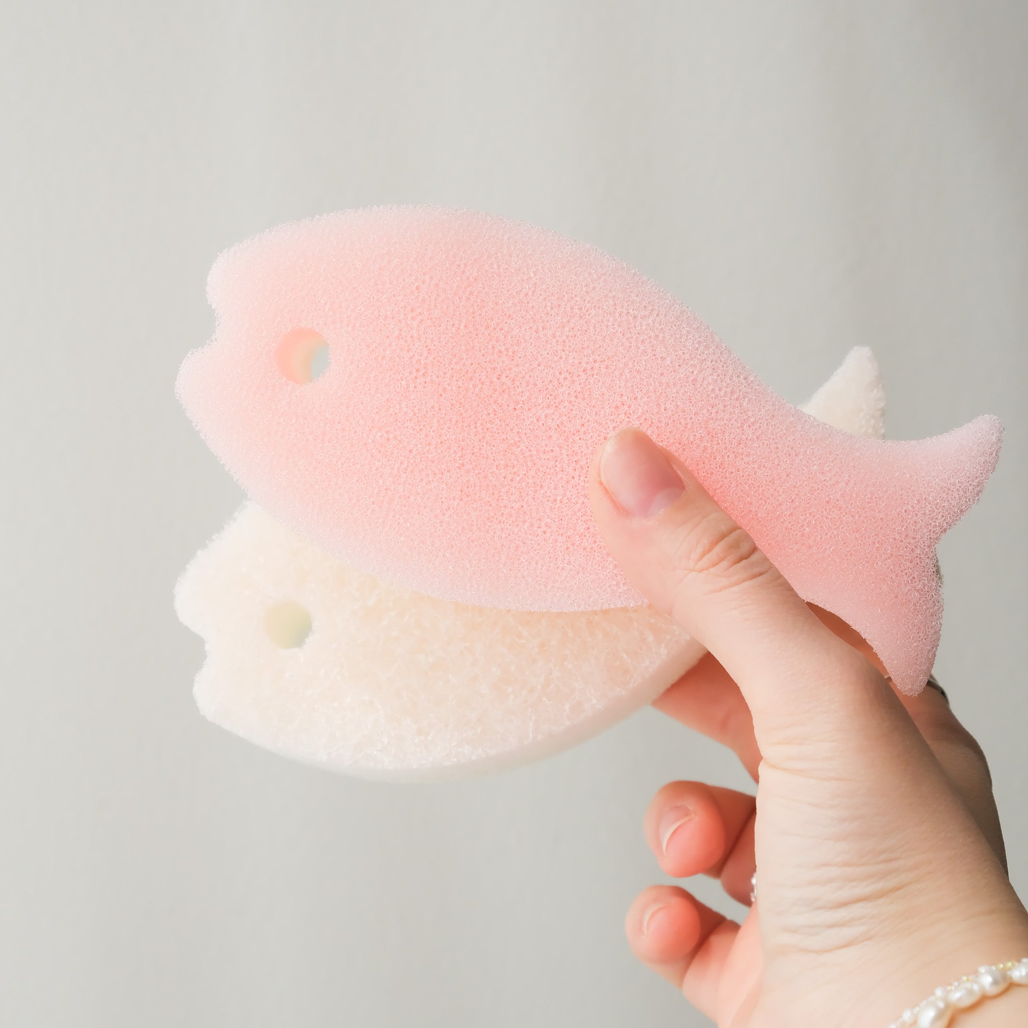 Fish Dish Sponge Set