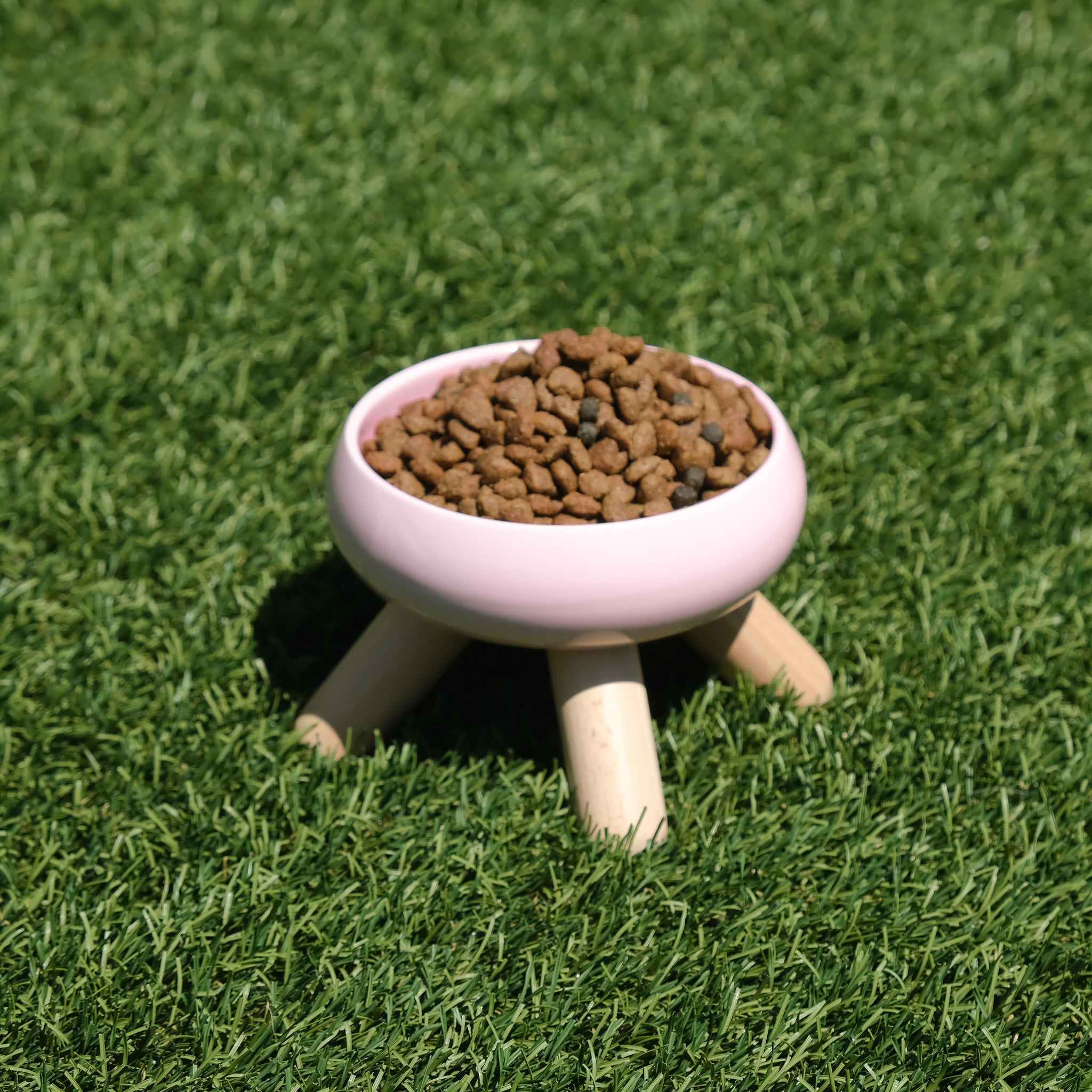 Elevated Ceramic Food Bowl