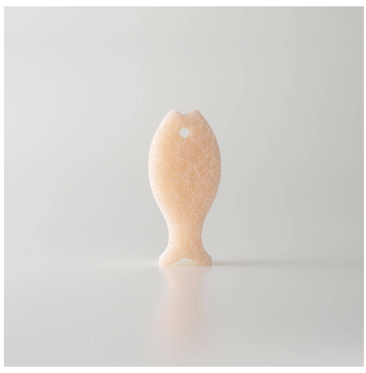 Fish Dish Sponge Set