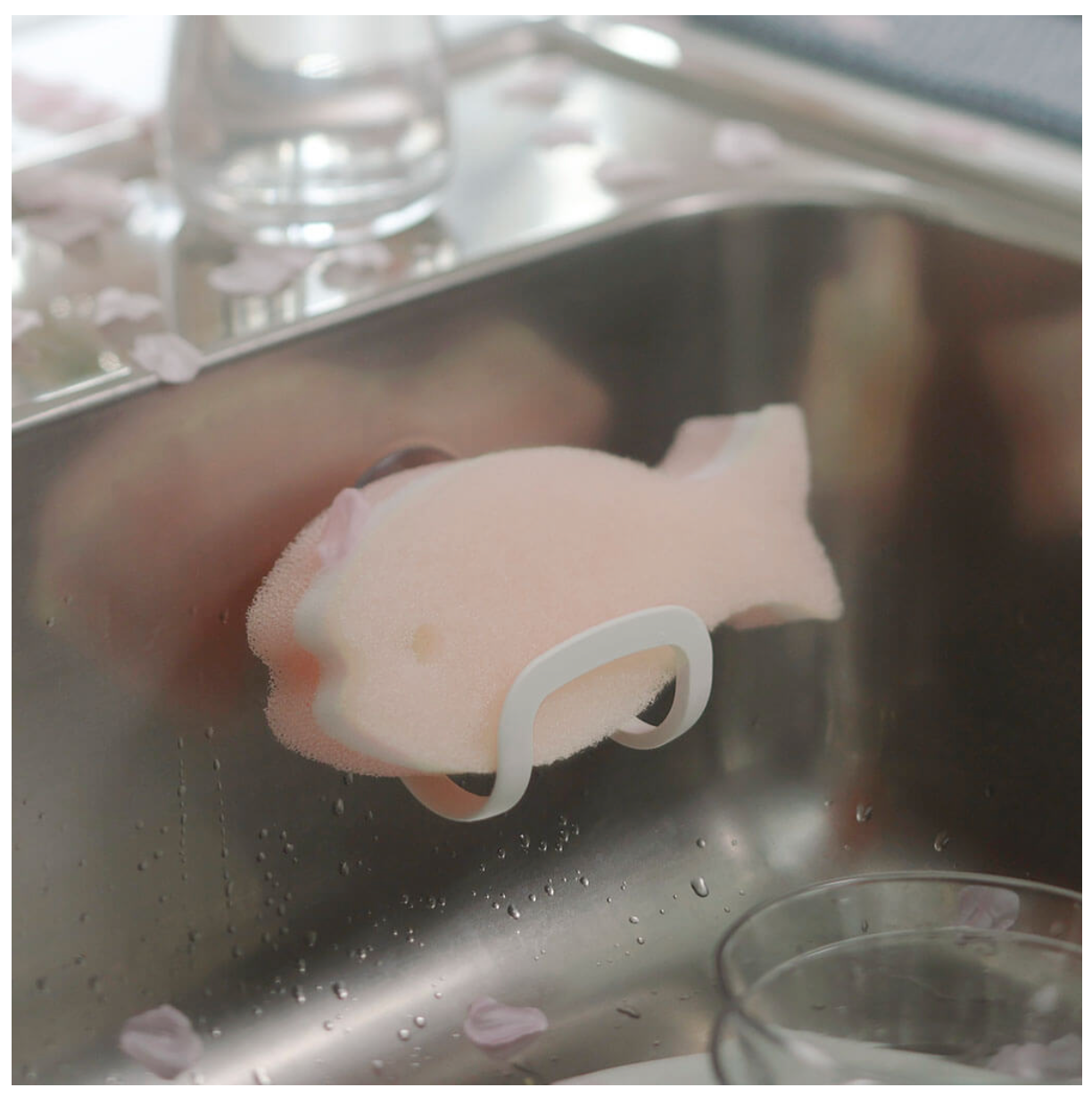 Fish Dish Sponge Set