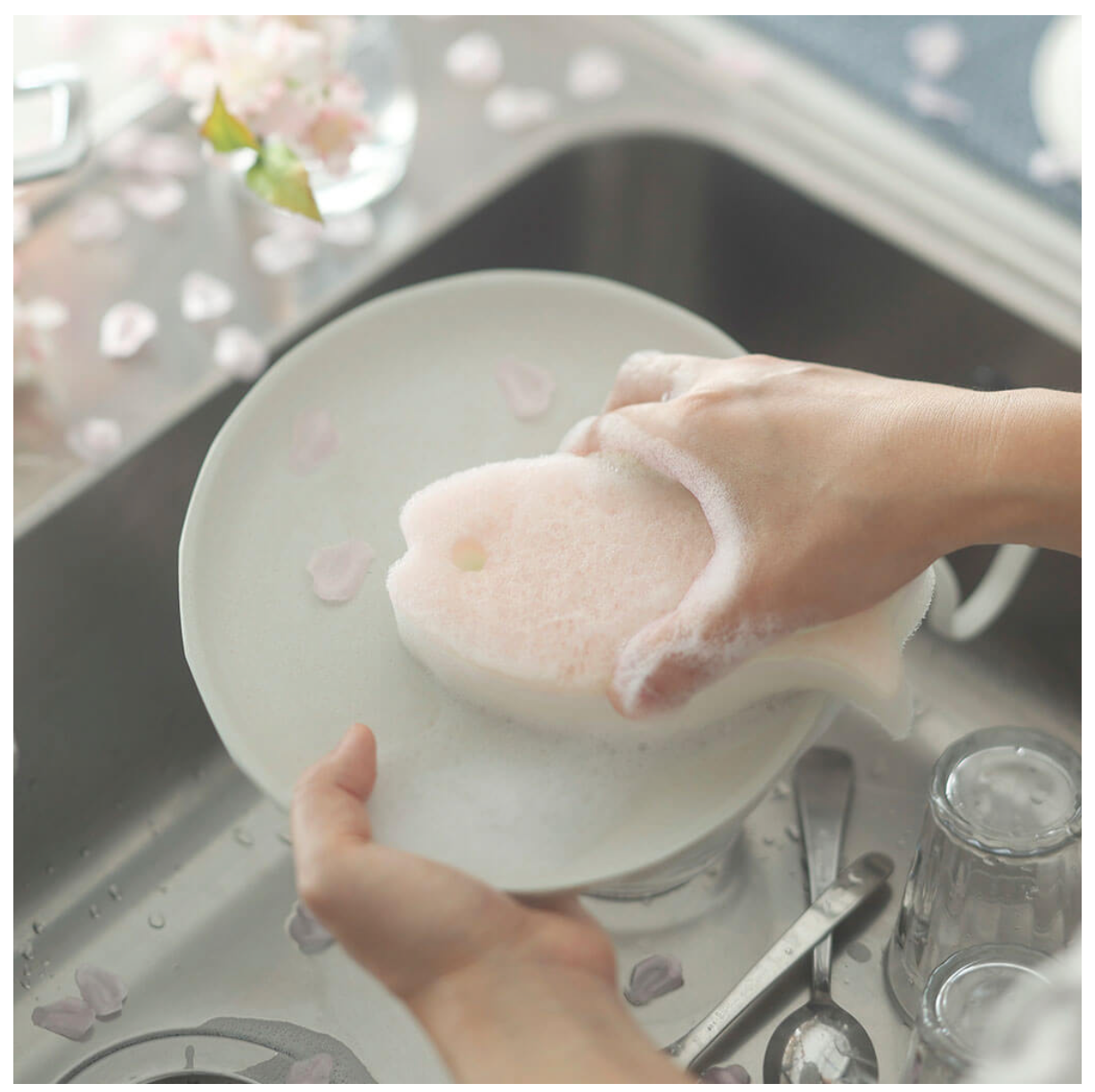 Fish Dish Sponge Set
