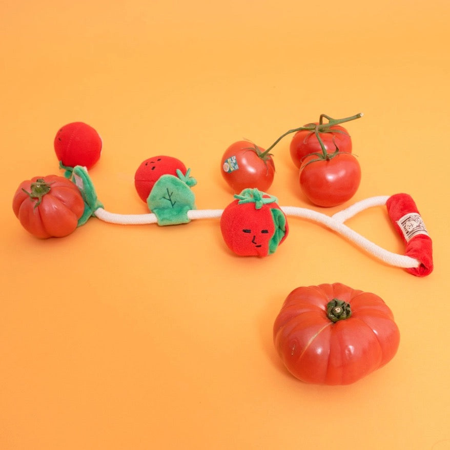 Cherry Tomato Nosework Tug Toy