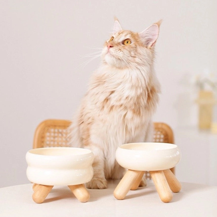 Elevated Ceramic Food Bowl