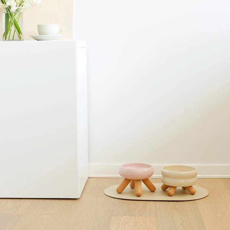 Elevated Ceramic Food Bowl