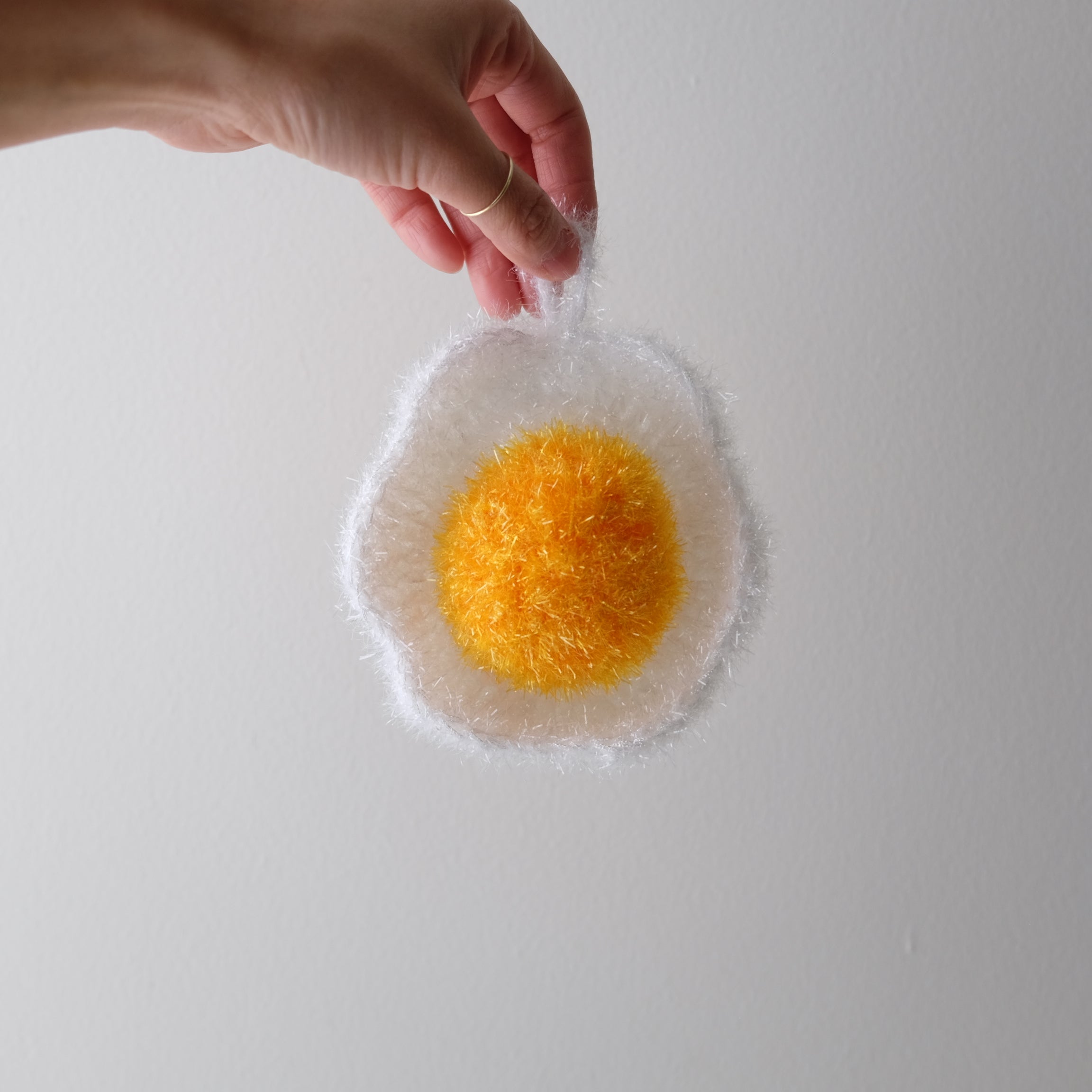Brunch Dish Sponges