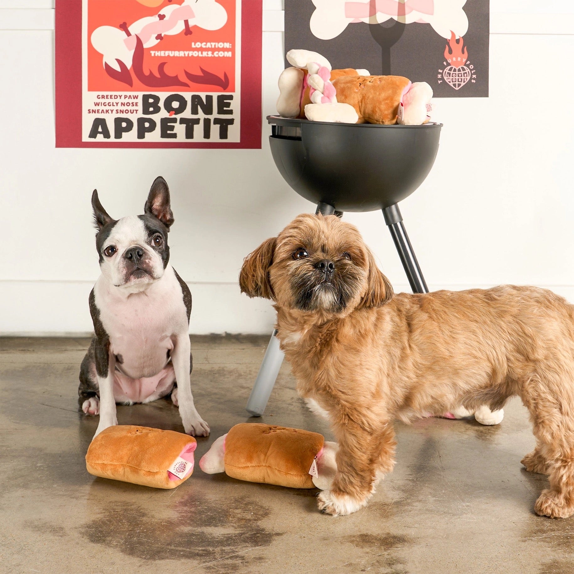 Bone Appétit Nosework Toy