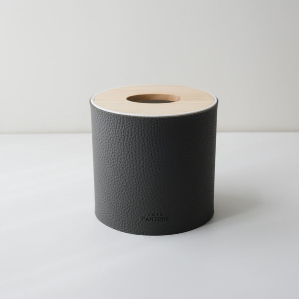 Pantone Tissue Roll Case