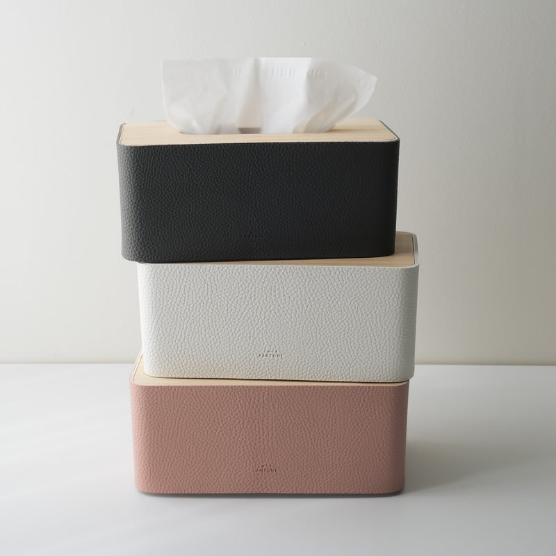 Pantone Tissue Case