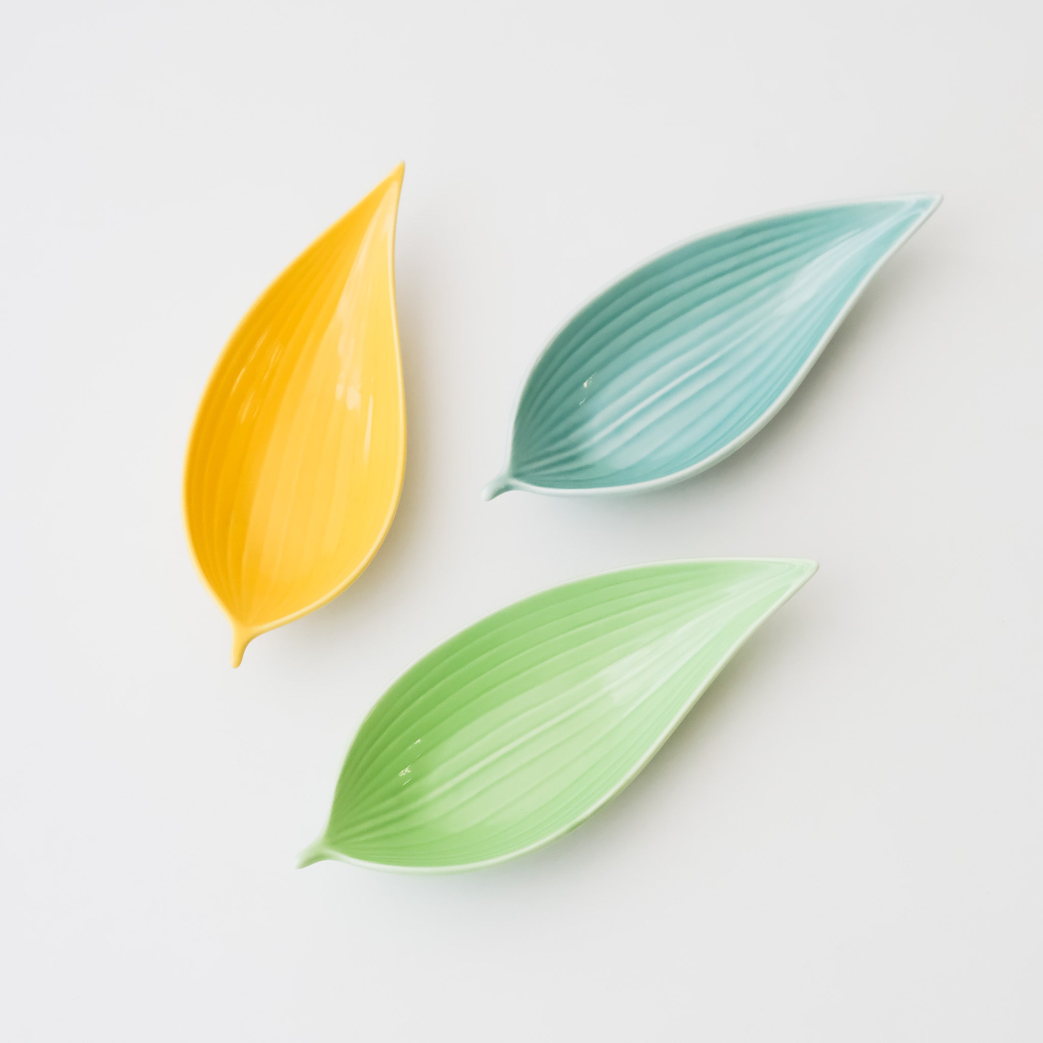Sprout Mini Dish (New Colors)