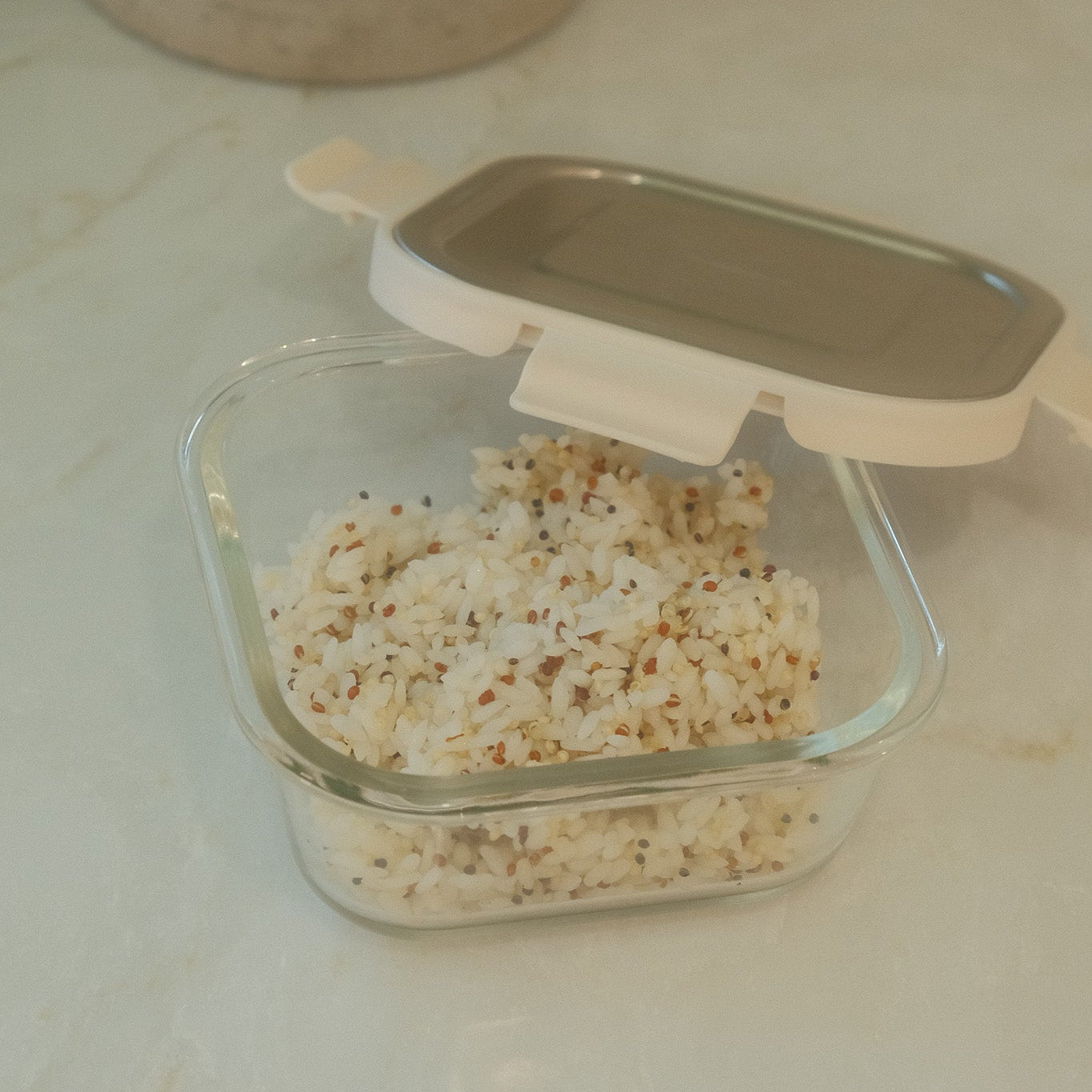Roebenhoff Food Storage Container - Square