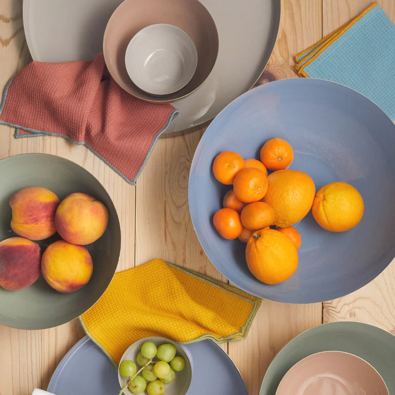 Harlow Bright Dish Towels Assorted Set of 5