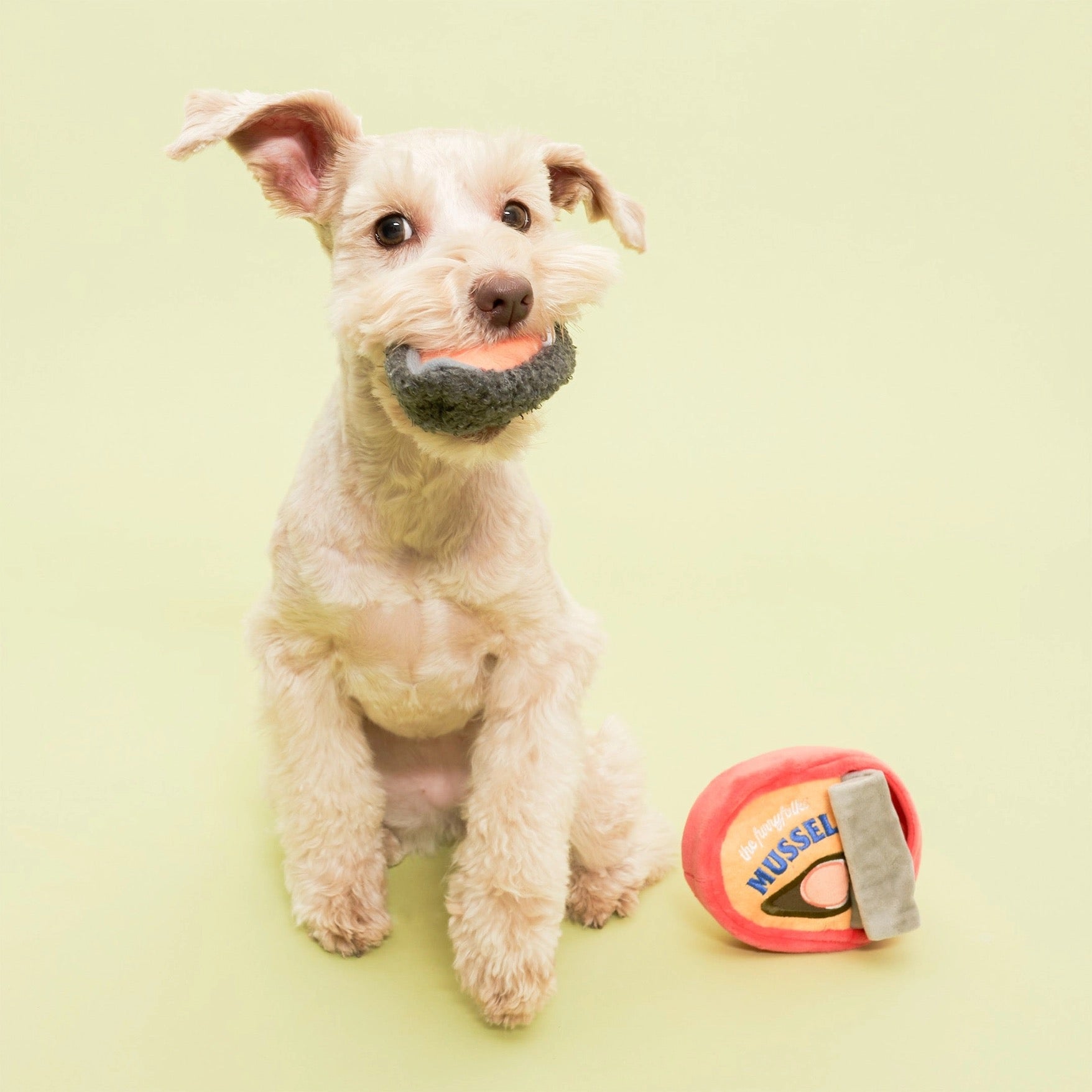 Tinned Mussel Nosework Toy