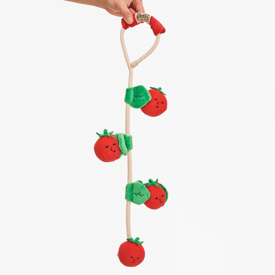 Cherry Tomato Nosework Tug Toy