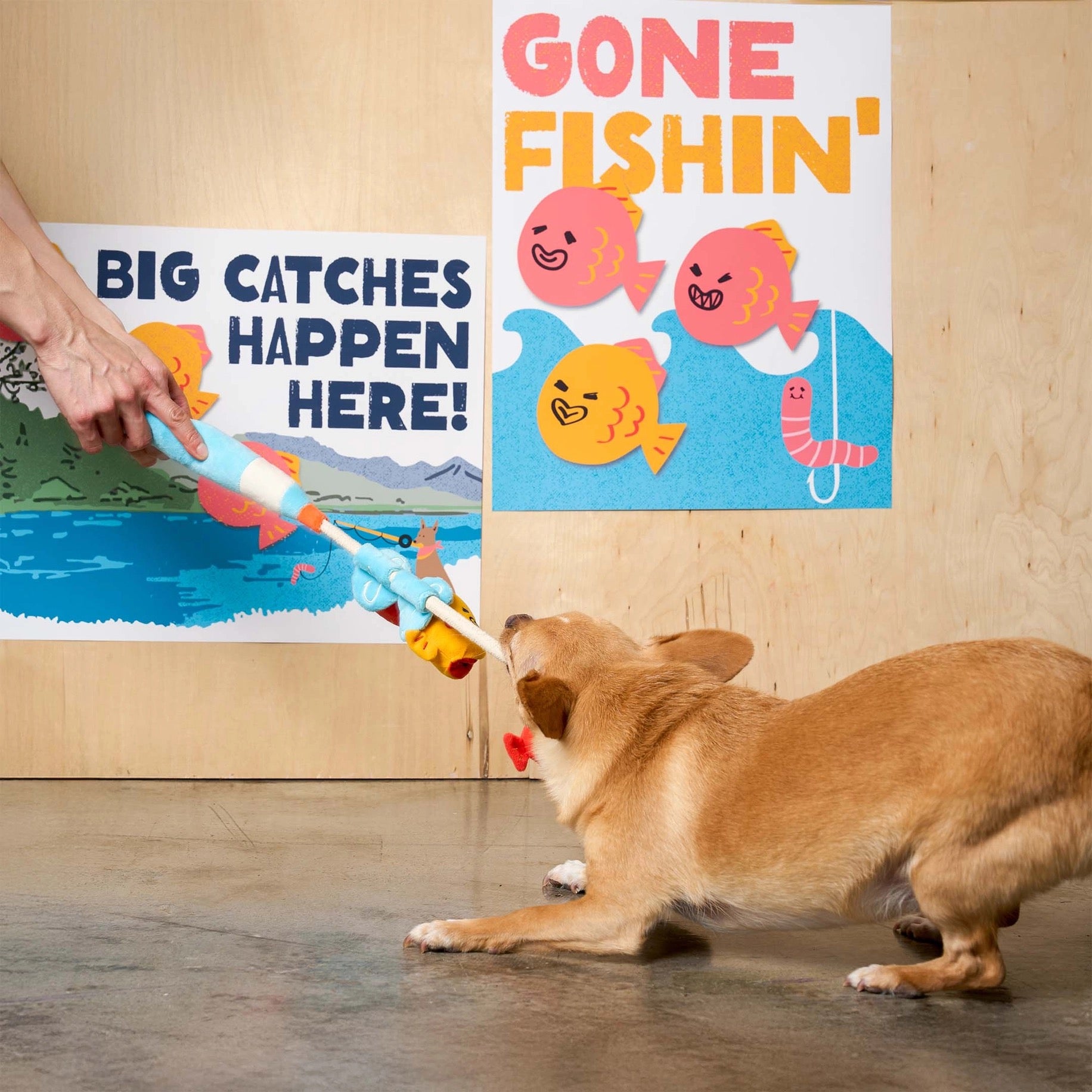 Fishing Nosework & Tug Toy