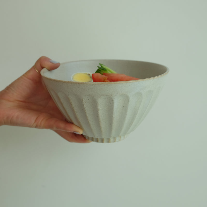 Shinogi Noodle Bowl