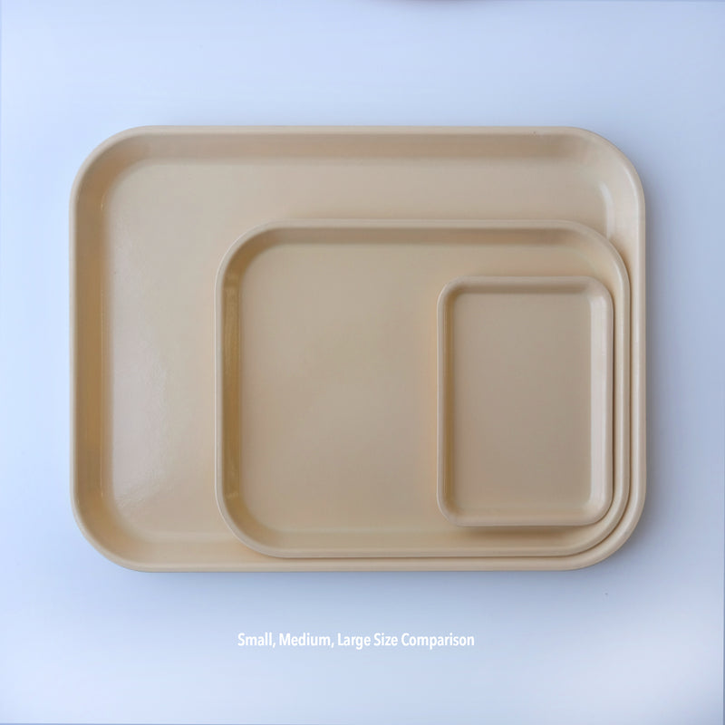Cambro Trays (New Colors)